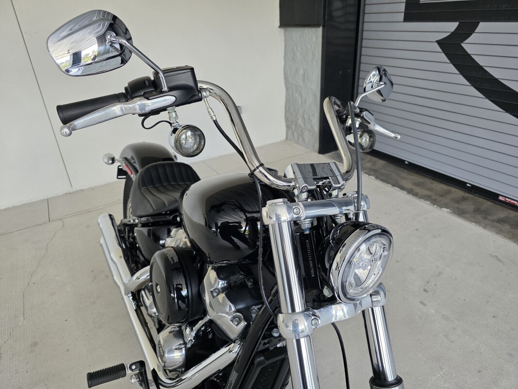 2020 Harley-Davidson Softail Standard - Photo 2