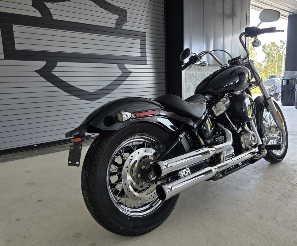 2020 Harley-Davidson Softail Standard - Photo 4