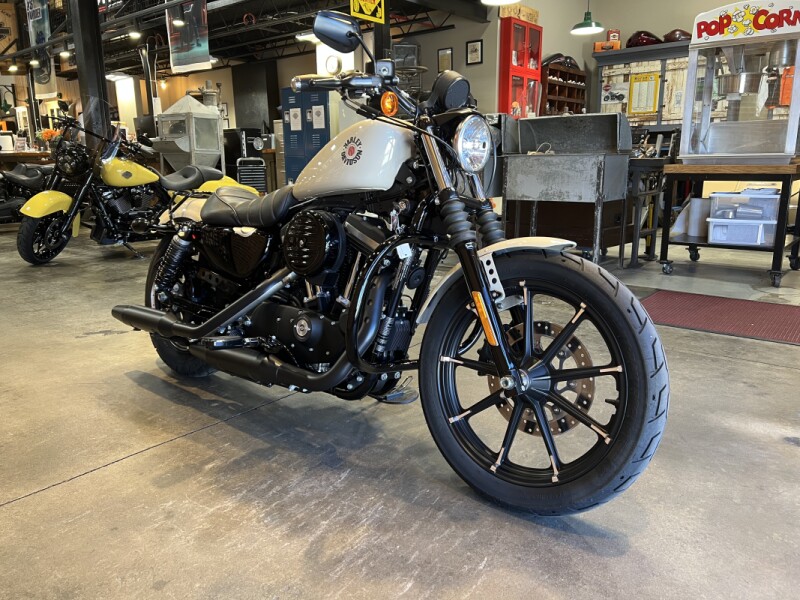 Harley-Davidson® Iron 883™ 2022 XL 883N White Sand Pearl