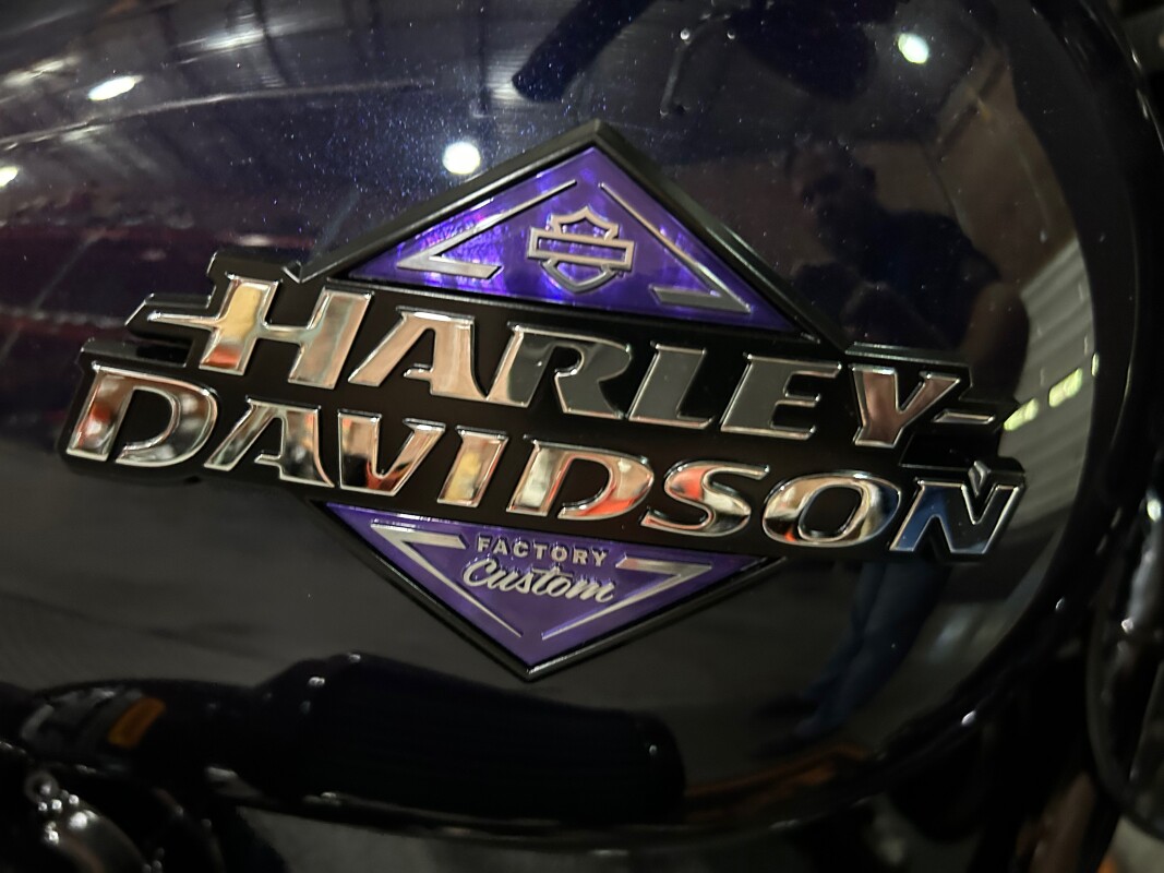 2025 H-D FXLRS Softail Low Rider S 117ci - Photo 4