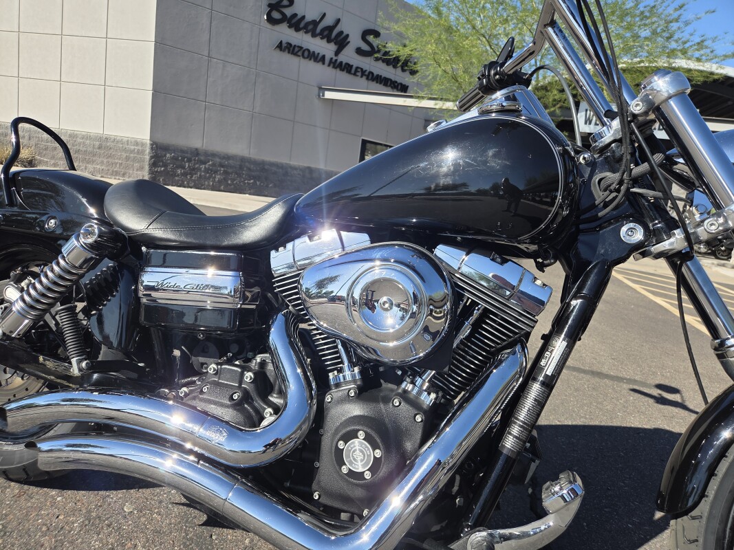 FXDWG 2010 Wide Glide - Photo 2