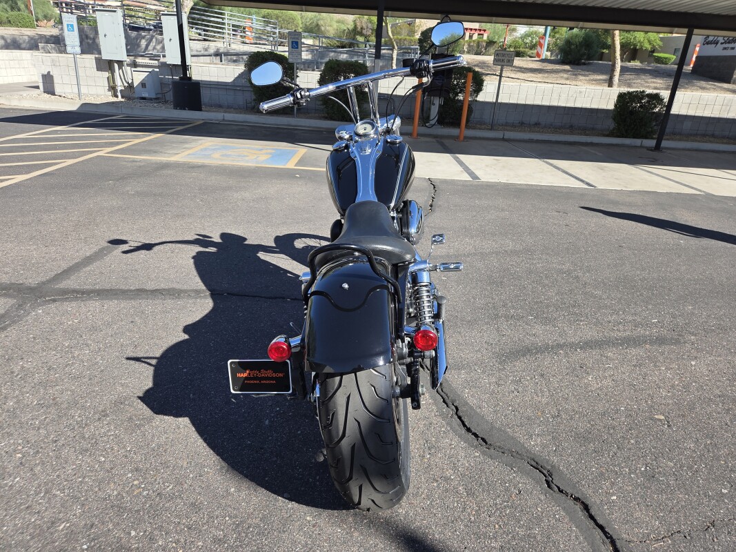 FXDWG 2010 Wide Glide - Photo 3