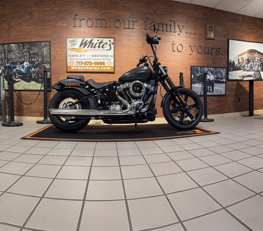 2025 H-D FXBB Softail Street Bob 117ci - Photo 2