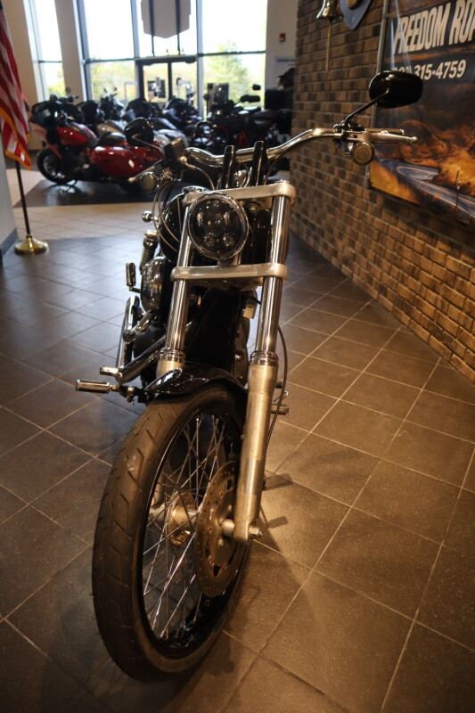 2013 Wide Glide (FXDWG) - Photo 3