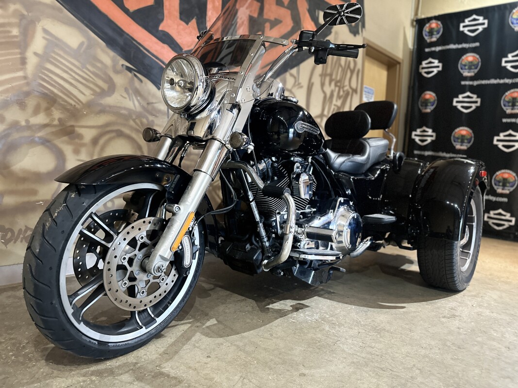 FLRT 2015 Freewheeler - Photo 3