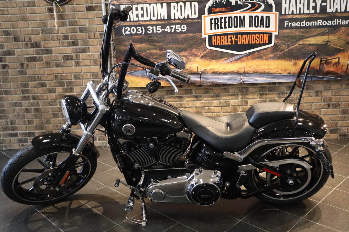 2015 Breakout (FXSB) - Photo 4