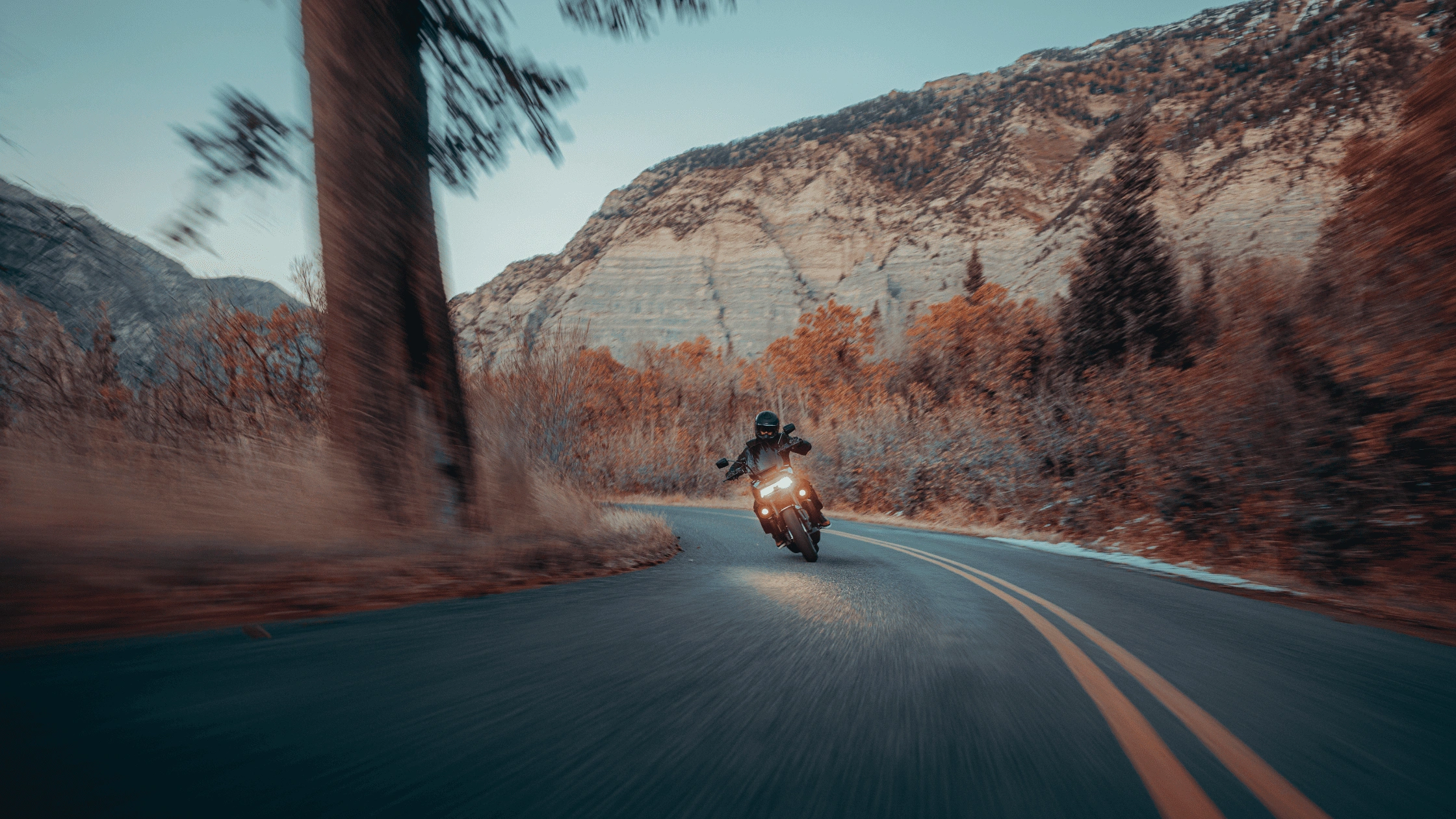 The 2025 Harley-Davidson® Pan America® 1250 ST rides near Bentonville, AR, compared with the Triumph Tiger for adventure riders seeking durability and power on winding roads.