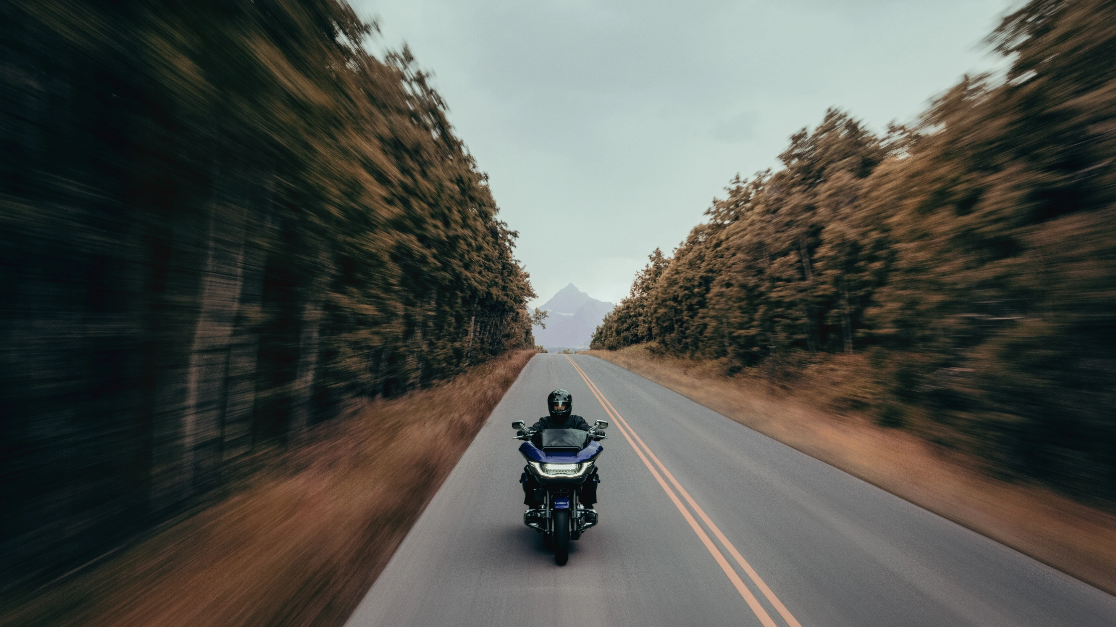 Rider on a blue 2025 Harley-Davidson® CVO Road Glide cruising down a scenic forest highway with motion blur emphasizing speed and performance.