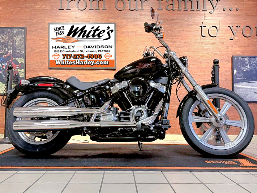 2023 H-D FXST Softail Standard 107ci