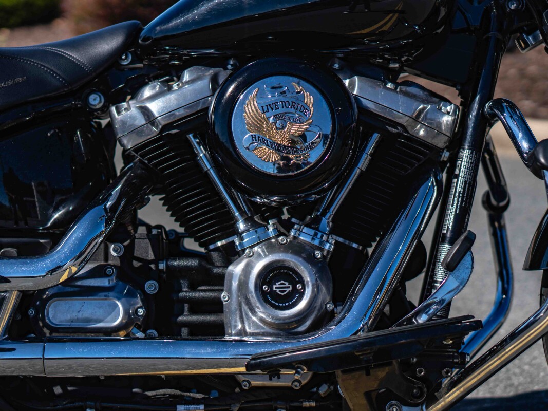 FLS 2018 Softail Slim - Photo 10
