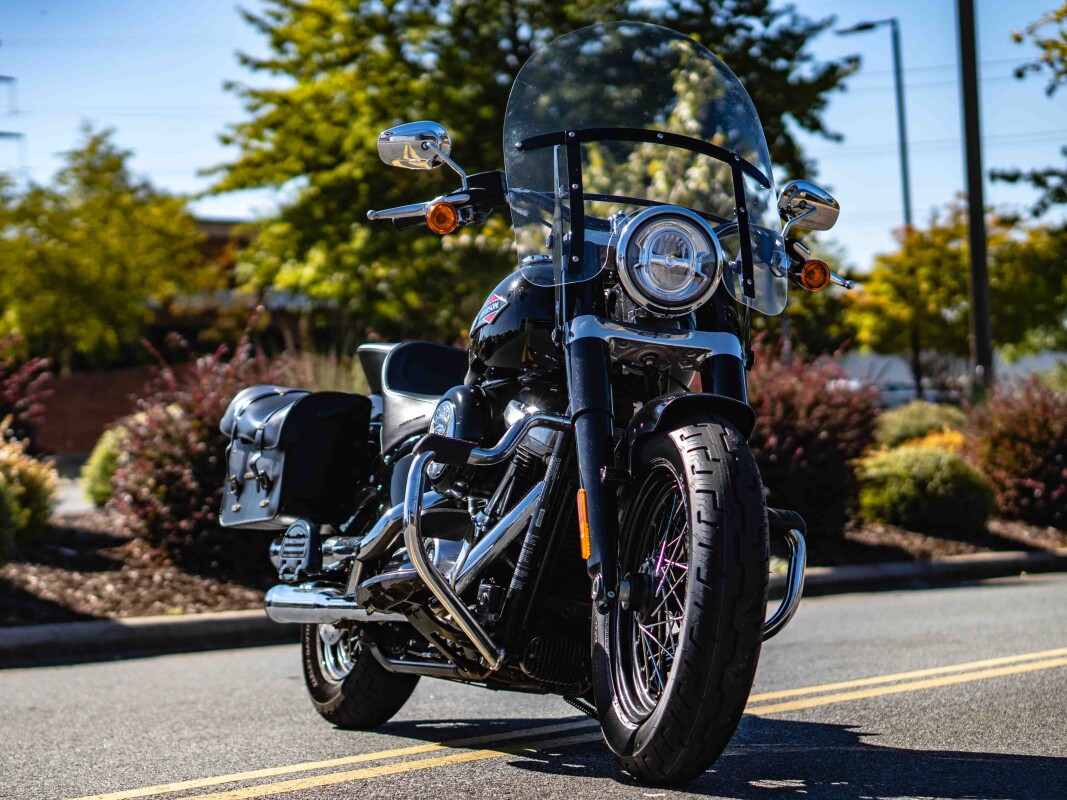 FLS 2018 Softail Slim - Photo 7