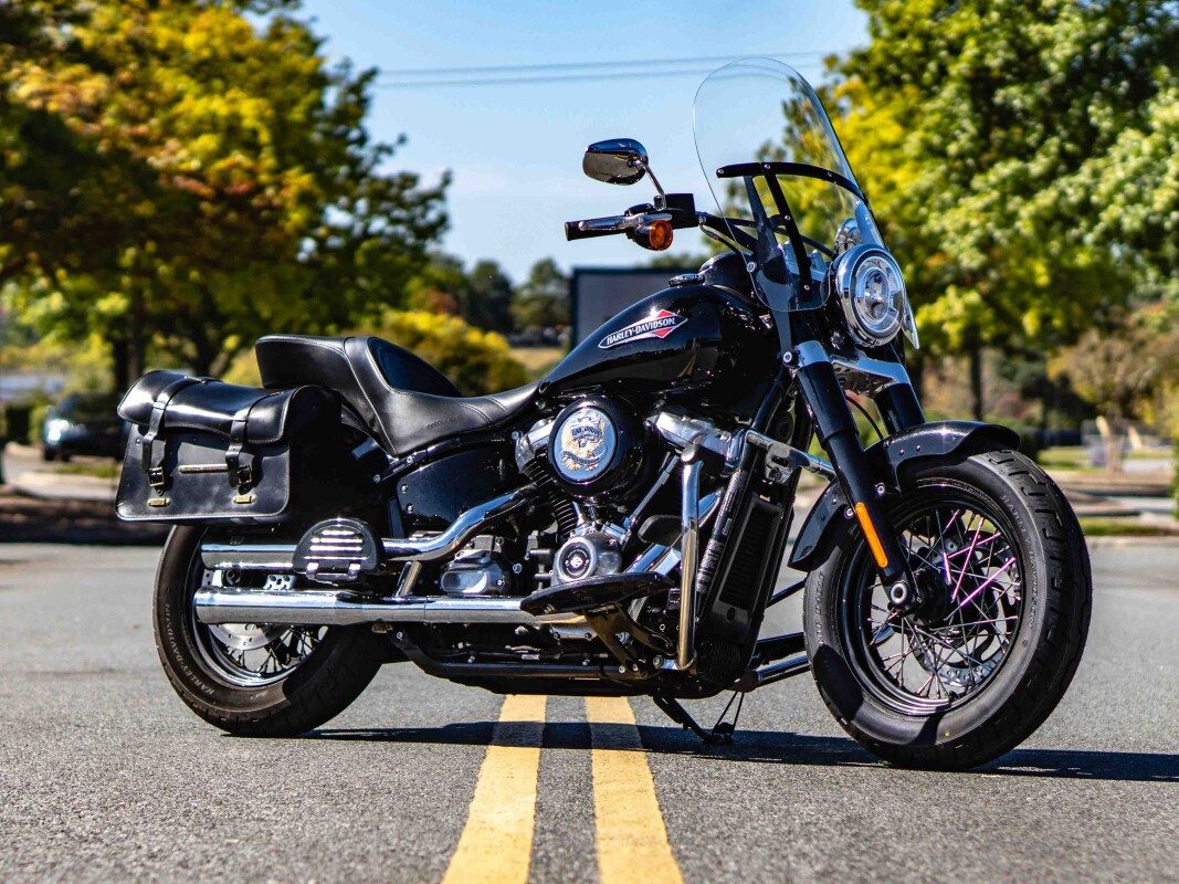 FLS 2018 Softail Slim - Photo 2