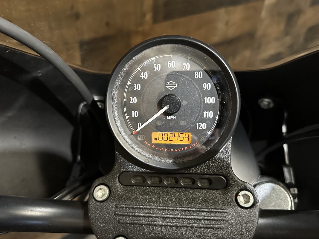 2021 Harley-Davidson Iron 1200 Vivid Black XL1200NS - Photo 9
