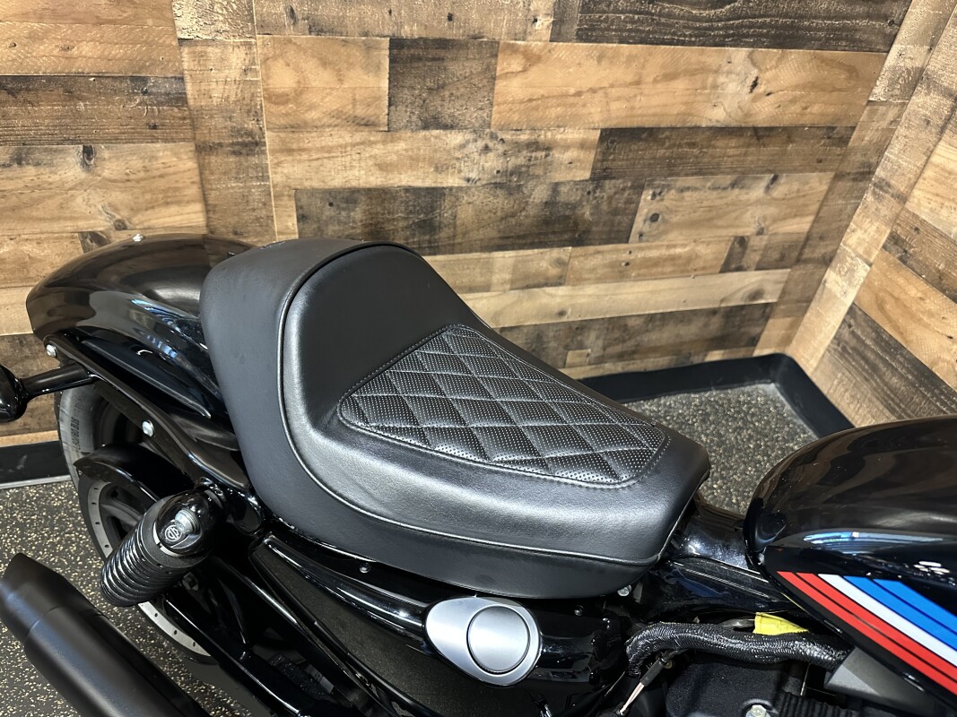 2021 Harley-Davidson Iron 1200 Vivid Black XL1200NS - Photo 10