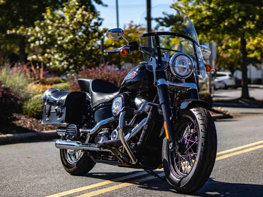 FLS 2018 Softail Slim - Photo 6