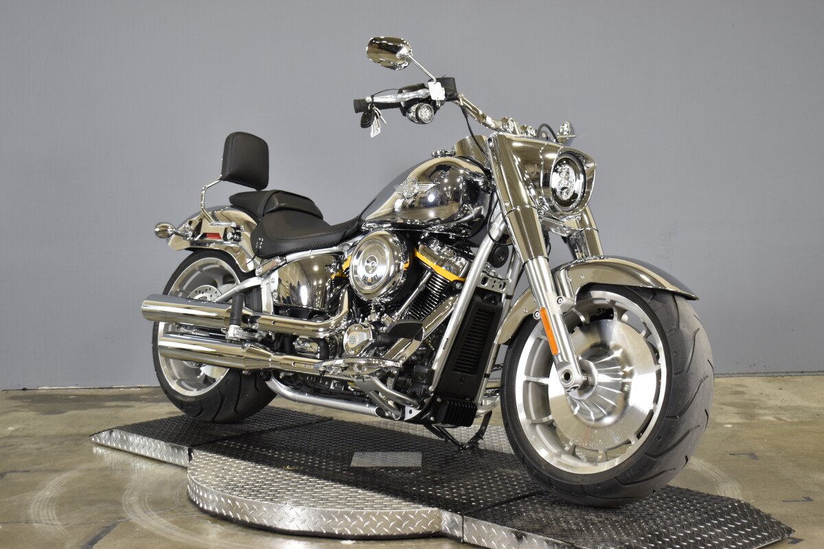 2025 Harley-Davidson Fat Boy Gray Ghost FLSTFI - Photo 2