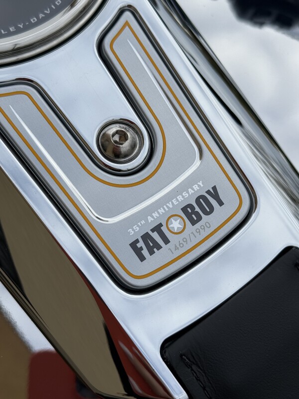2025 Harley-Davidson Fat Boy FLSTFI Grey Ghost - Photo 5