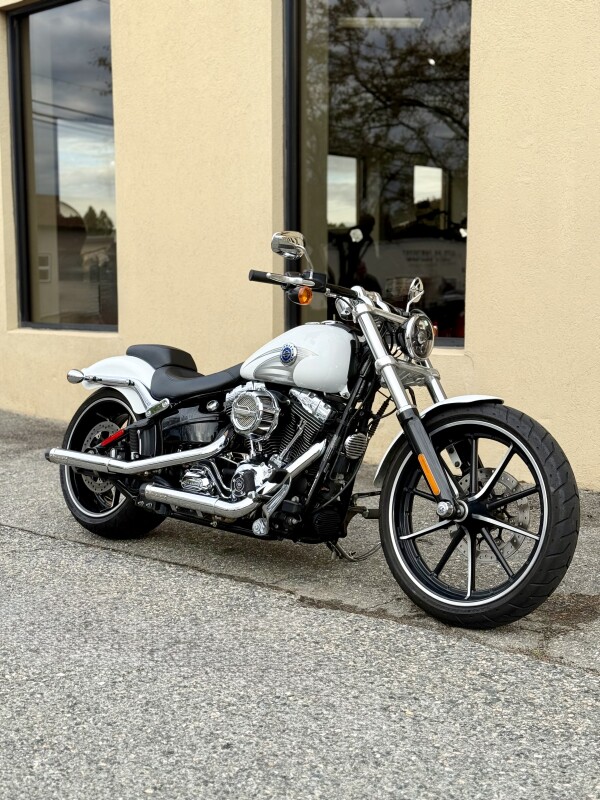 2016 Harley-Davidson Breakout FXSB - Photo 3