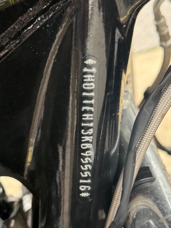 2019 Harley-Davidson CVO Limited Auburn Sunglo & Black Hole with Rich Bourbon - Photo 6