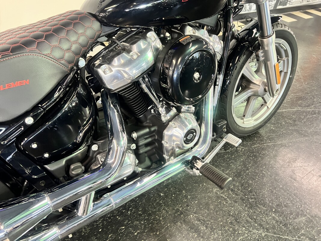 2023 Harley-Davidson Softail Standard Vivid Black FXST - Photo 10