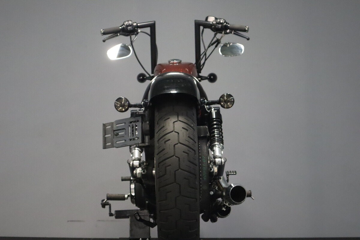 2014 Harley-Davidson Forty-Eight XL 1200X - Photo 7