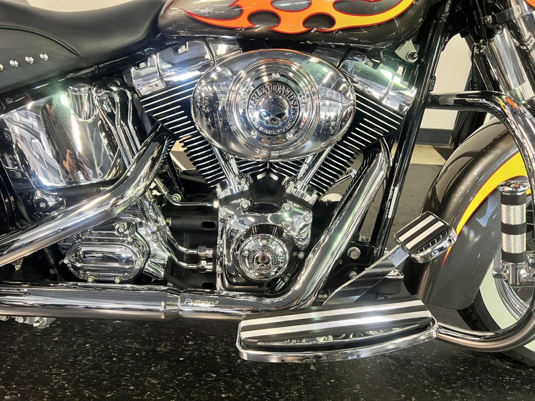 2003 Harley-Davidson Heritage Softail Classic Allover Custom Print FLSTCI - Photo 4