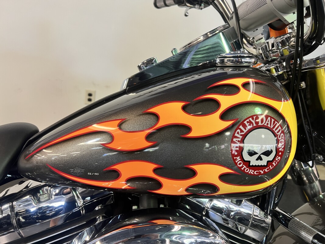 2003 Harley-Davidson Heritage Softail Classic Allover Custom Print FLSTCI - Photo 2