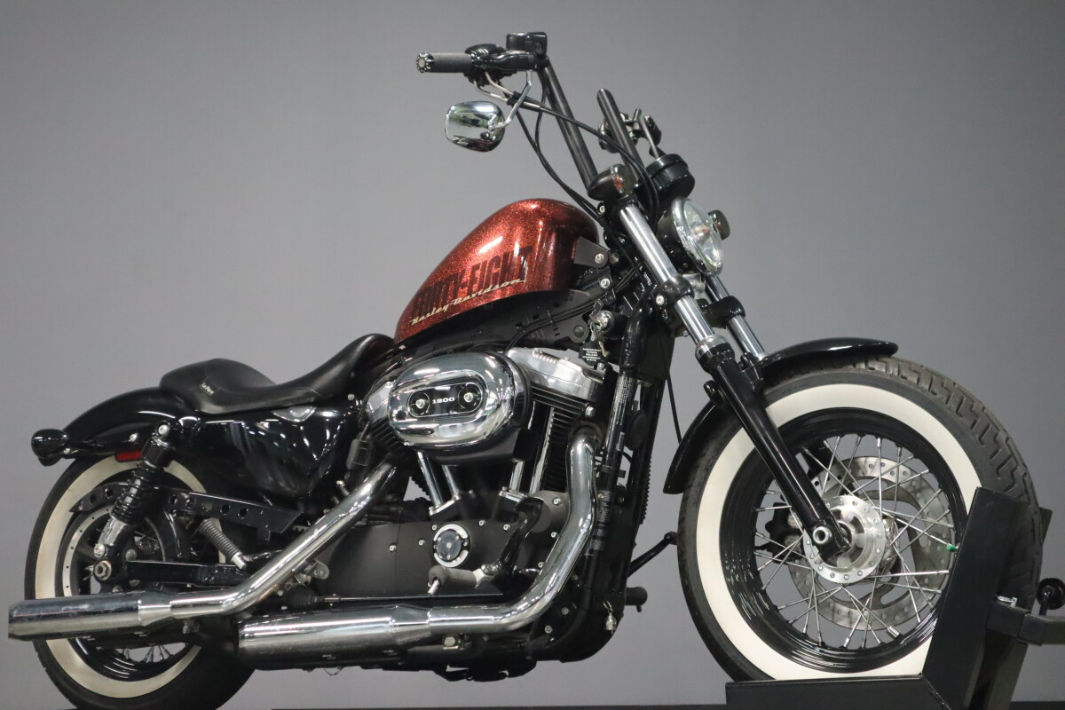 2014 Harley-Davidson Forty-Eight XL 1200X - Photo 2