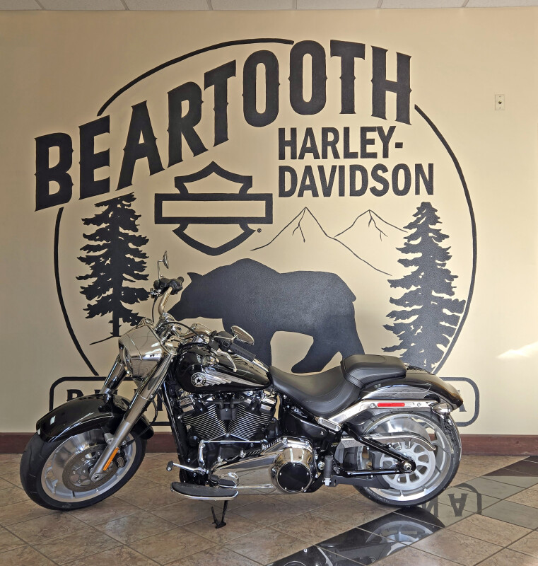 2025 Harley-Davidson Fat Boy Vivid Black - Photo 6