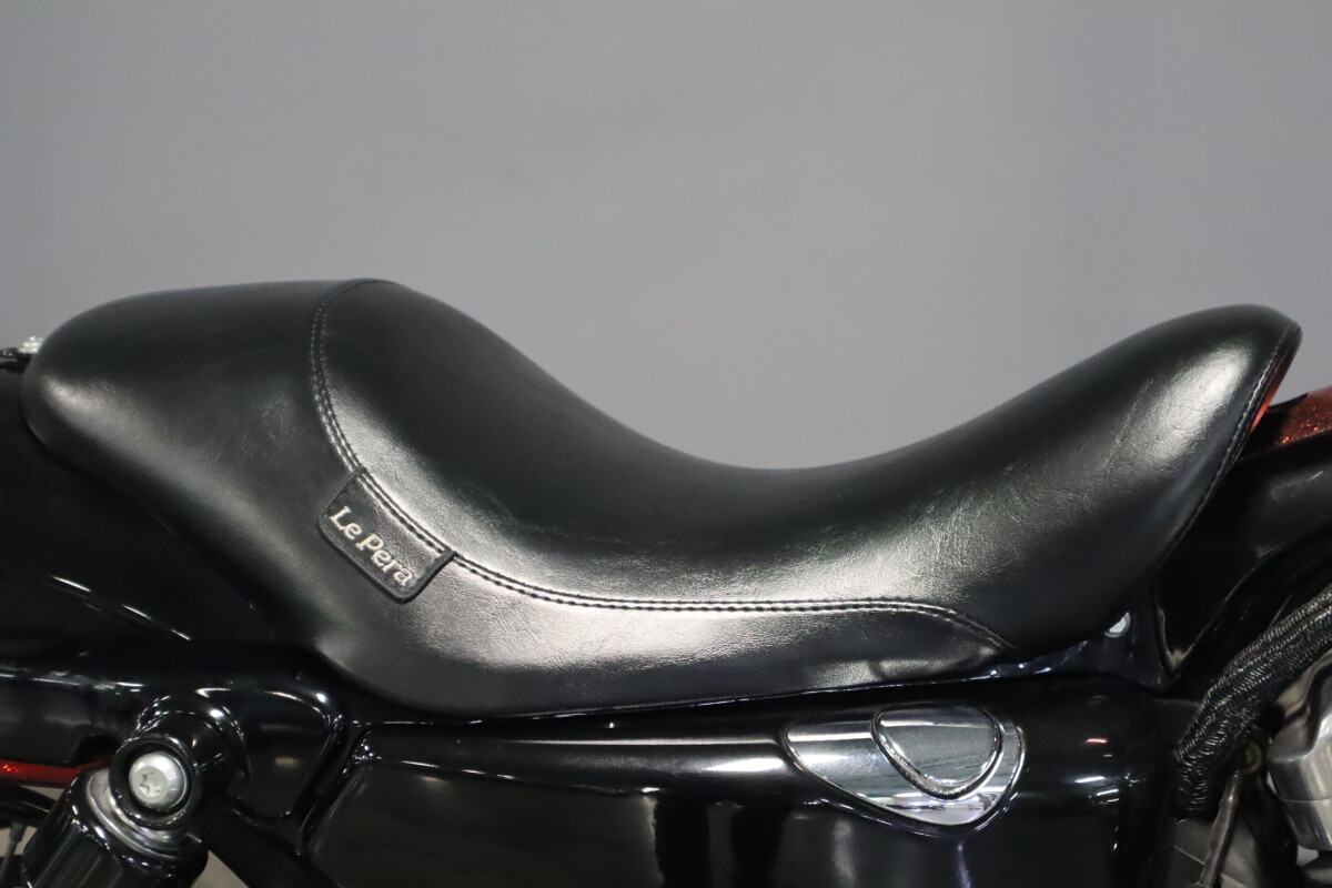 2014 Harley-Davidson Forty-Eight XL 1200X - Photo 10