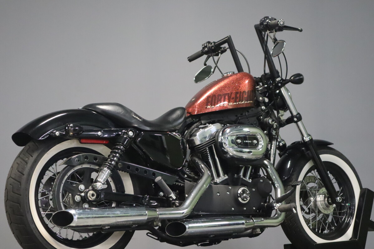 2014 Harley-Davidson Forty-Eight XL 1200X - Photo 8