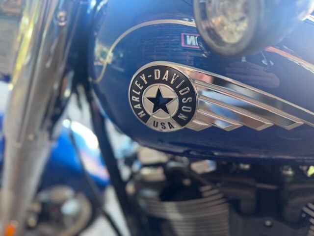 2025 Harley Davidson Fat Boy FLFB - Photo 6