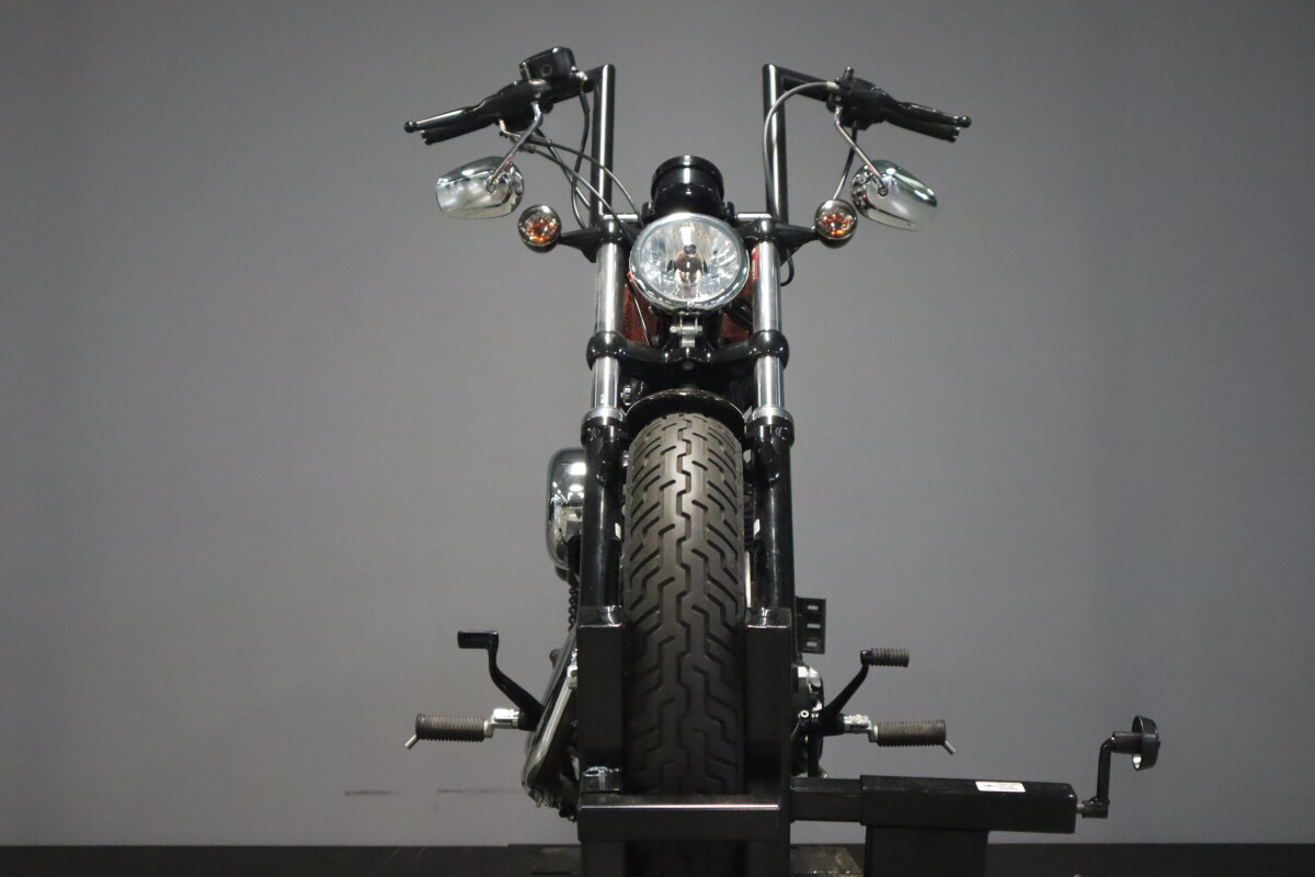 2014 Harley-Davidson Forty-Eight XL 1200X - Photo 3