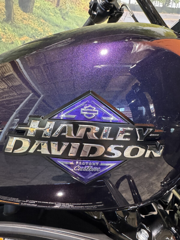 2025 Harley-Davidson Road Glide - Photo 4