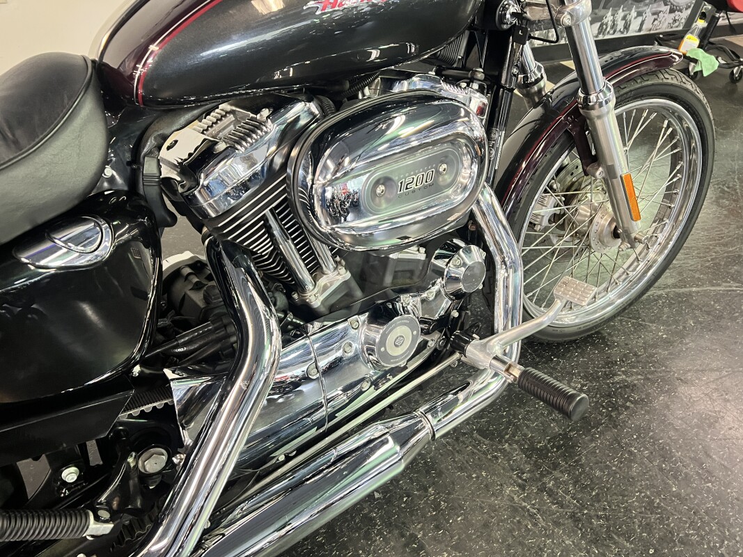 2006 Harley-Davidson 1200 Custom Black Cherry and Black XL1200C - Photo 10