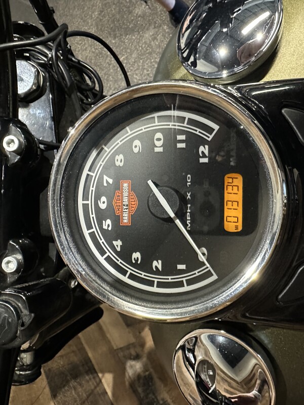 2016 Harley-Davidson Softail Slim Olive Gold Denim FLSS - Photo 10