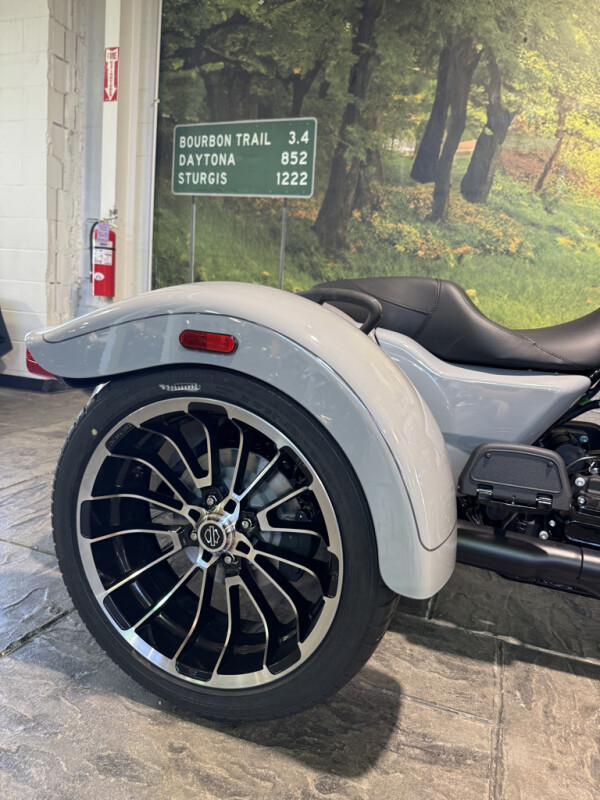2025 Harley-Davidson Road Glide 3 - Photo 7