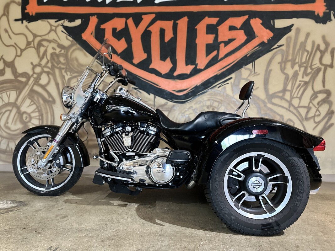 FLRT 2020 Freewheeler - Photo 9