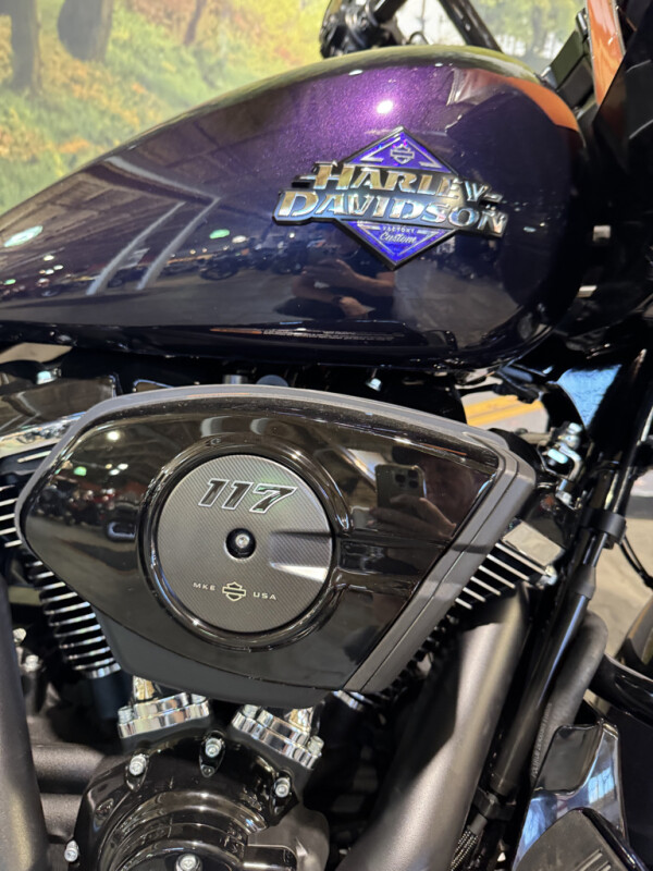 2025 Harley-Davidson Road Glide - Photo 3