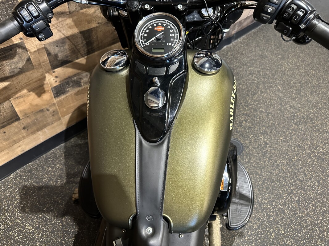 2016 Harley-Davidson Softail Slim Olive Gold Denim FLSS - Photo 7
