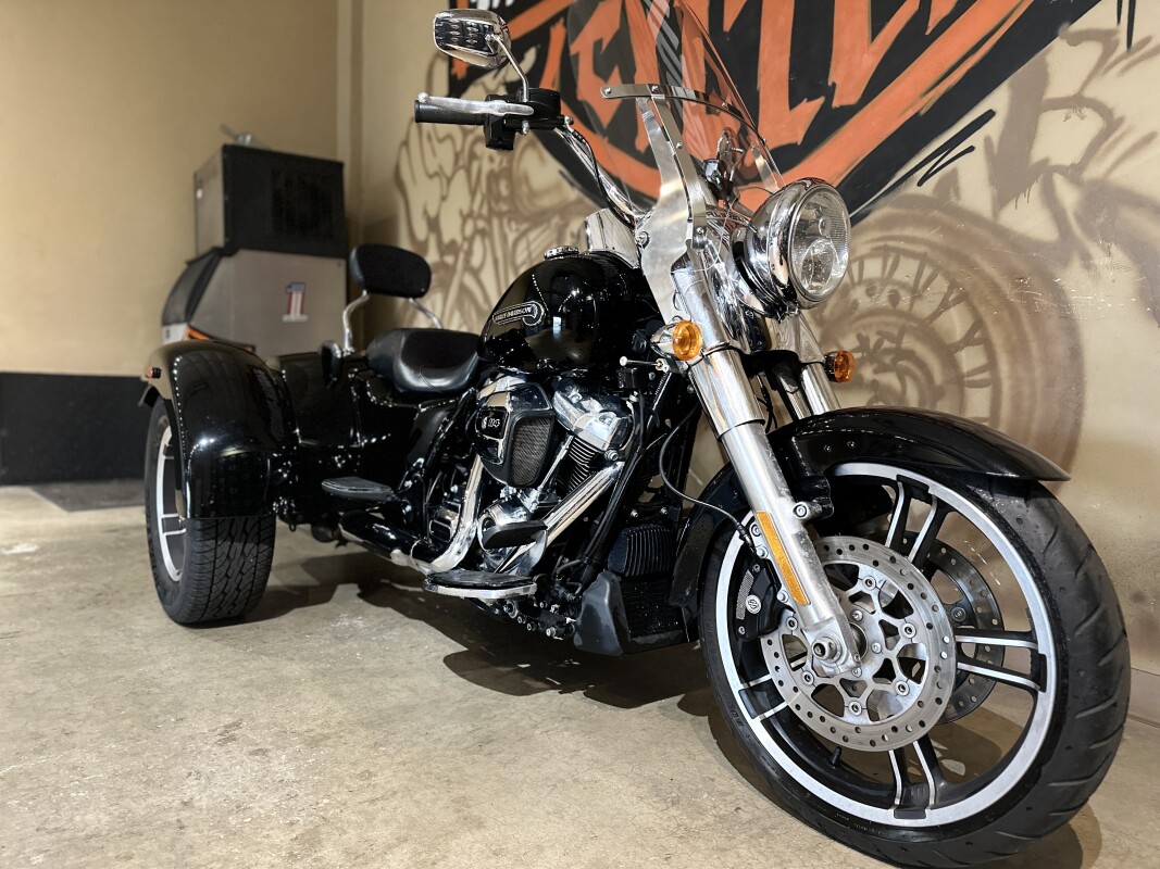 FLRT 2020 Freewheeler - Photo 7