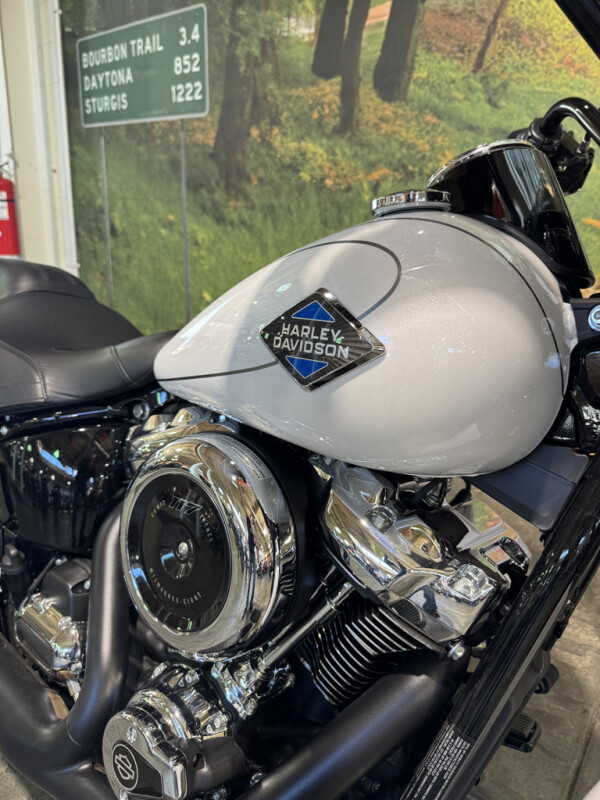2025 Harley-Davidson Heritage Classic - Photo 2