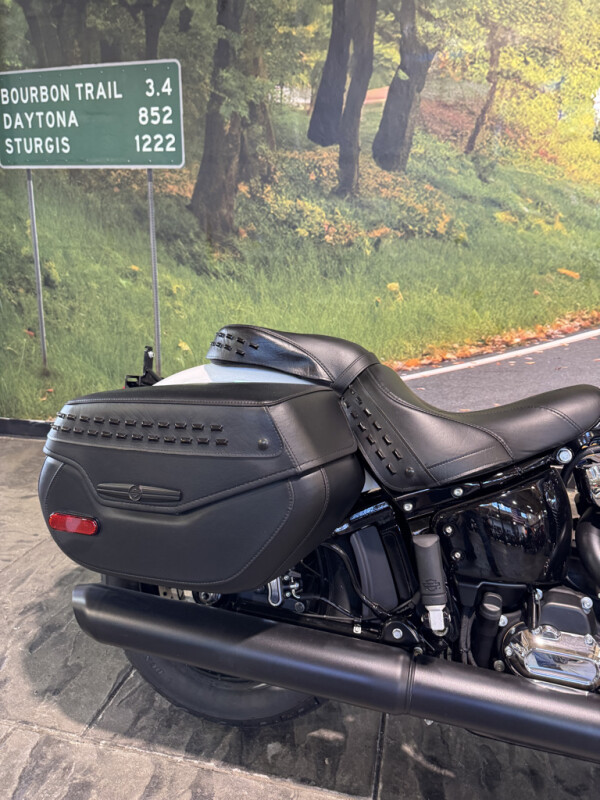2025 Harley-Davidson Heritage Classic - Photo 8