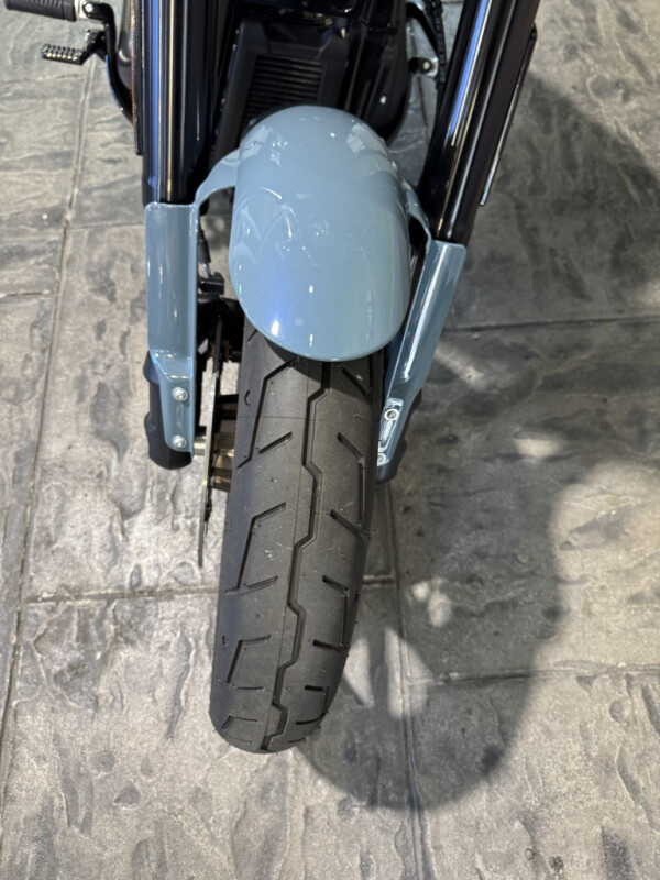 2024 Harley-Davidson Low Rider S - Photo 8