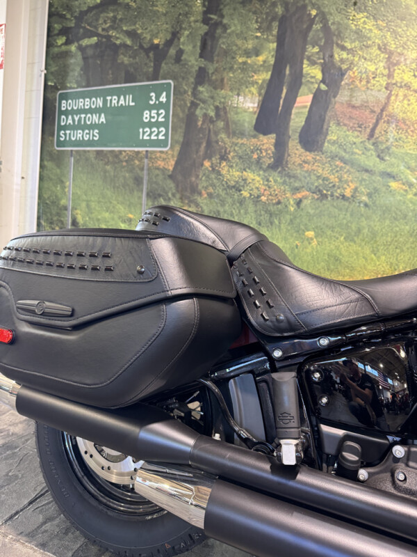 2024 Harley-Davidson Heritage Classic - Photo 5