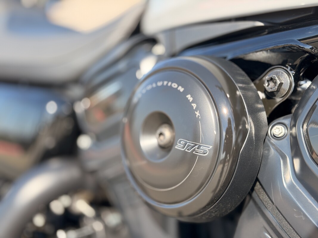 2025 Harley-Davidson Nightster Special RH975S Billiard Gray - Photo 10