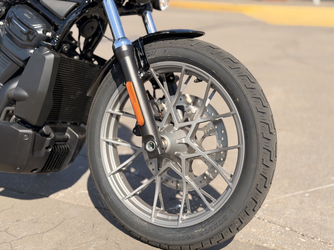 2025 Harley-Davidson Nightster Special RH975S Billiard Gray - Photo 8
