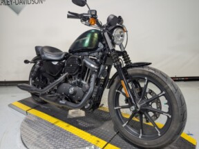 2018 Harley-Davidson® Iron 883™ Hard Candy Chameleon Flake thumb 2