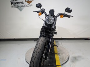 2018 Harley-Davidson® Iron 883™ Hard Candy Chameleon Flake thumb 1
