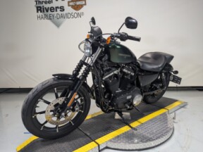 2018 Harley-Davidson® Iron 883™ Hard Candy Chameleon Flake thumb 0
